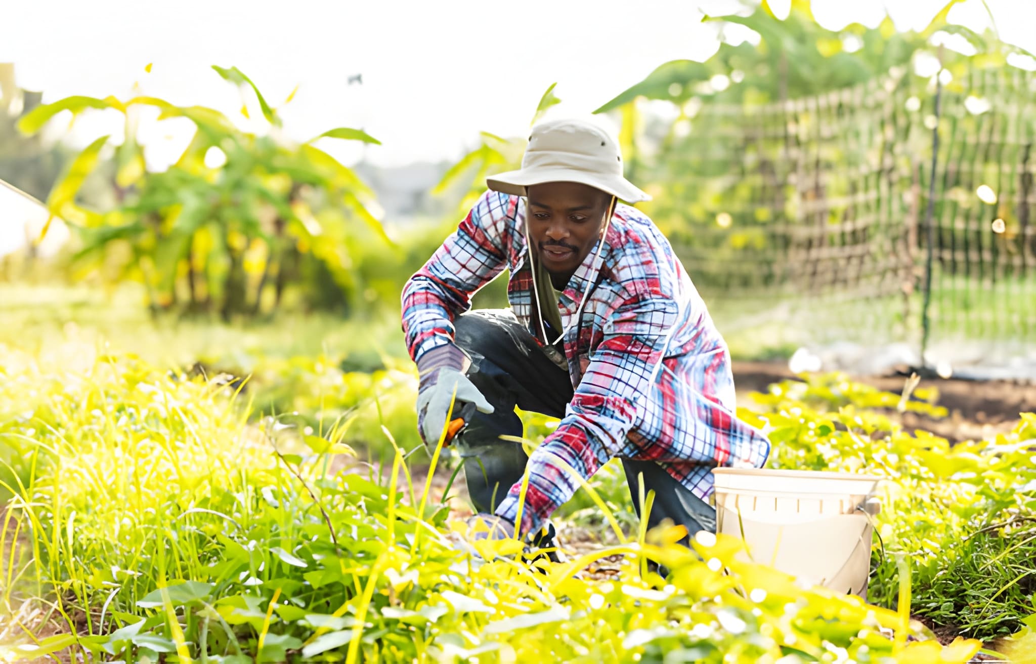 Agricultural jobs in USA